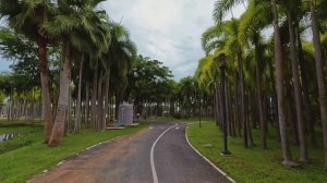 Работа в Таиланде. Запрещенные профессии для иностранцев. Почему тариф на электроэнергию изменяется