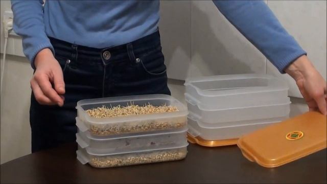 ЭМ -проращиватель для семян и зерен смотреть онлайн