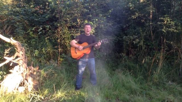 Репка (12+) смотреть онлайн