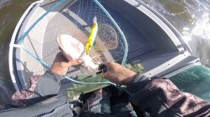 Рыбалка в Астрахани троллинг на халку