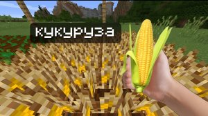 посадил кукурузу на ферме ! — Minecraft