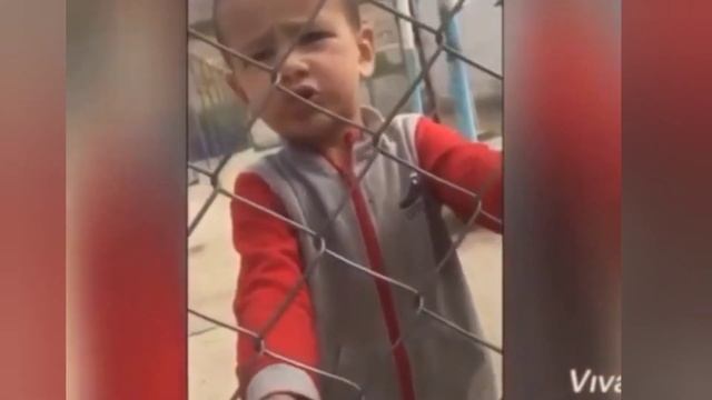 Бачгалаен пиш савдо чечид ?? смотреть онлайн