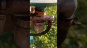 Запуск мотоблока "Крот" после летнего простоя перед осеннеми полевыми работами