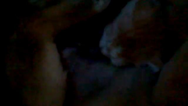 Кот перепутал писю из титькой собаки (Little cat sucks in the dog) смотреть онлайн