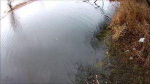 Рыбалка на канале реки Воронеж, 22.03.2020