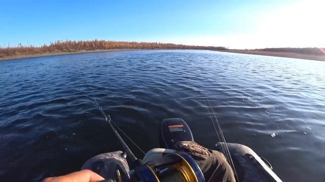 В поисках ЦАРЯ РЕКИ! За ТАЙМЕНЕМ смотреть онлайн