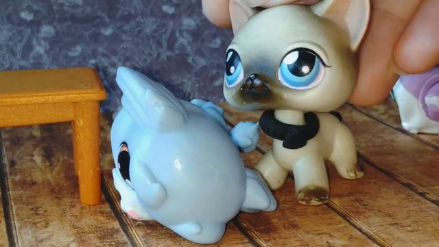 LPS сериал: Бессердечная/2 S.//1 Ep.