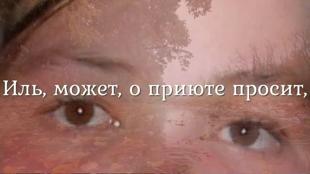 Осень. Осенняя зарисовка. Осеннее настроение