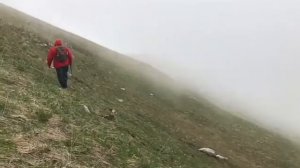 Терхи, Джаьнча, Ялхарой. Чечня