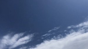 Николаевские голуби. Красные молодые. Крым