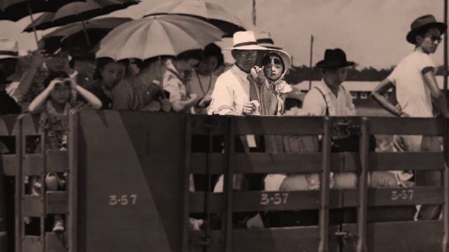 Robert Ito смотреть онлайн