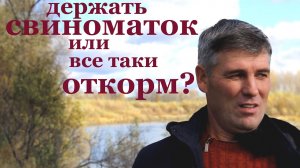 свиноматки !или свиньи на откорм_выгодно ли свиноводство..mp4