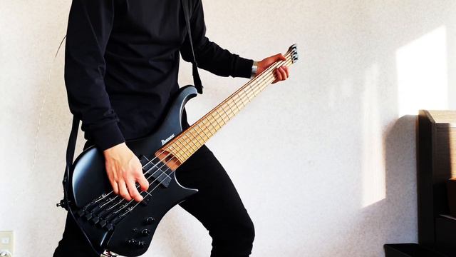 Gojira - Only Pain  ||  Bass Cover смотреть онлайн