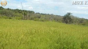 A DAY AS A RICE FARMER IN SIERRA LEONE