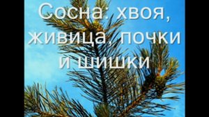 Астма и туберкулёз - лечение травами http://zdravo.ucoz.ru/