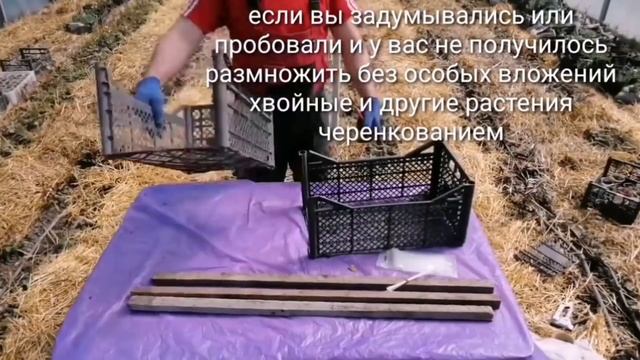 Зачем Платить Больше, Три Варианта Мини парничка Своими Руками. смотреть онлайн