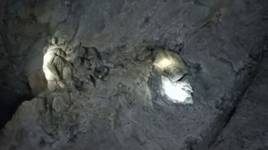 Капова пещера  -  древняя живопись палеолита