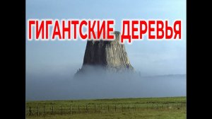 На Земле Лесов нет. Гигантские Пни Кремнеевой эры / Виктор Максименков
