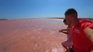 Кояшское озеро в Крыму Как добраться до розового озера