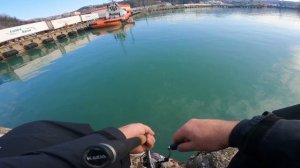 Лов форели в Черном море. Бомбарда