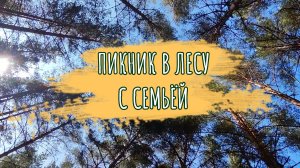 ПИКНИК В ЛЕСУ С СЕМЬЁЙ