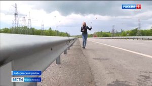 Бурый медведь погиб под колёсами автомобиля на объездной трассе Хабаровск – Владивосток