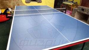 Теннисный стол Winner S-250 от магазина Физрук