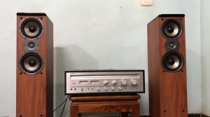 Test bass Polkaudio TSi 300