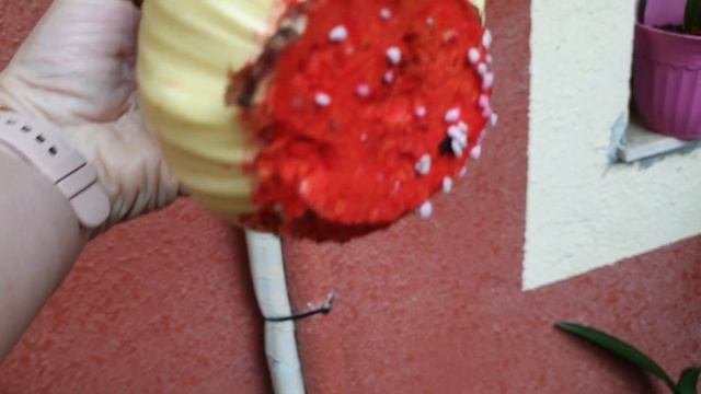 Mozaic Hippeastrum And Rudy The Irish Setter