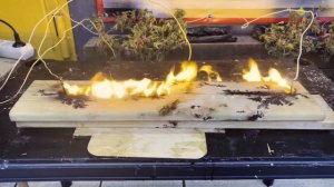 Аппарат для выжигания молний| Lihtenberg lightings|Выжигатель молний из трансформатора микроволновк