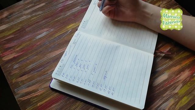 Ежедневное почасовое планирование или почему вы бросили вести свой ежедневник?! смотреть онлайн