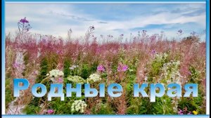 Родные края. Видеоминутка