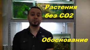 Аквариумные растения без углекислоты и осмоса. Зачем вообще это нужно. (Архив от 13.10.2021)