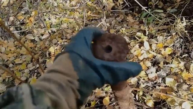 НАШЕЛ ВАЛ ОТ ТРЕЛЕВОЧНИКА В ТАЙГЕ ! #металлокоп#металлоискательМЕТАЛЛОКОП !