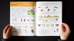 По дороге в школу. Окружающий мир. Тетрадь для занятий с детьми 5-7 лет