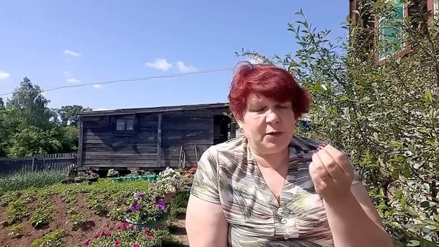 БОЛЬШОЙ Урожай ПЕРЦА, что нужно сделать? ПЕРЦА будет Больше в ДВА раза, правильно Формируем Перец??