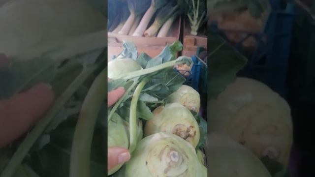 Восточный рынок Краснодар. 9 декабря #краснодар #переезд #рынок #обзорцен