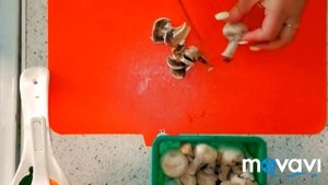 САЛАТ С ШАМПИНЬОНАМИ И КОЛБАСОЙ / РЕЦЕПТ