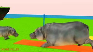 Choose Right Slider Cage Mystery Key Challenge | Cow Mammoth Gorilla Wild Animals Crossing Game #co