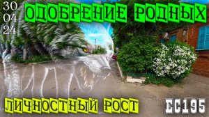 Об отношениях и личностном росте. Почему от родных осуждение, а от друзей поддержка?