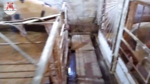 Будни Фазенды.