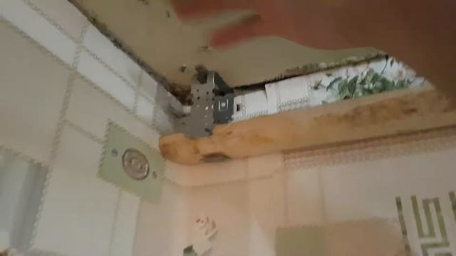 Навесной потолок в одиночку смотреть онлайн