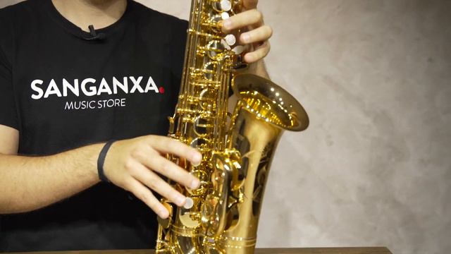 Saxo Alto Yamaha YAS 875EX смотреть онлайн