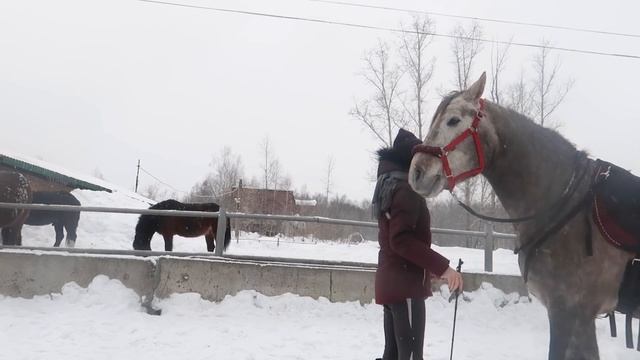 VLOG: Учим новый ТРЮК ! Тестирую пад смотреть онлайн