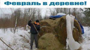 "Февральские НОВОСТИ" хозяйства в деревне!