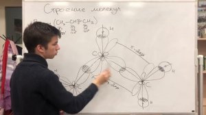 Строение органических молекул