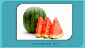 Лечение почек   Какие продукты должны быть на нашем столе