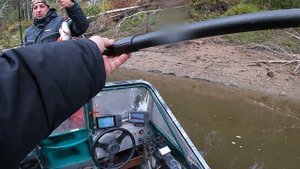 ОБЬ. КАРГАСОК. БЕШЕНЫЕ РЫБИНЫ