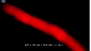 фокси и мангл