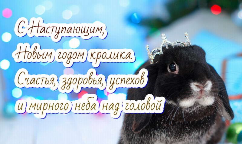 С Наступающим Новым Годом 2023! Встречаем Год Кролика! Красивое новогоднее видео поздравление.